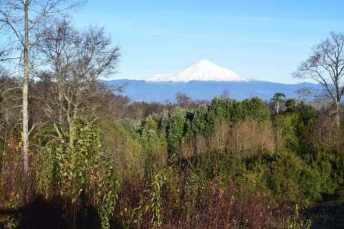 Venta Parcela en Villarrica con vista al volcn y acceso a lago