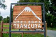 Parcela Condominio Hacienda Trancura N75, Pucn