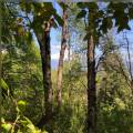 Venta Parcelas en Trampa del Len rodeadas bosque nativo