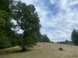 Venta 2.69 hectreas en Curarrehue sector Huitraco bajo