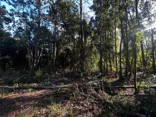 Venta Terreno de 1 hect�rea en sector Mini Golf Puc�n