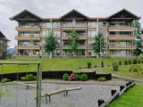 Arriendo Departamento Nº202 en Condominio Los castaños de Alicura, Torre Kula