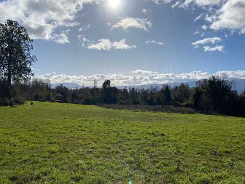 Venta Parcela N�12 en El Triwe 