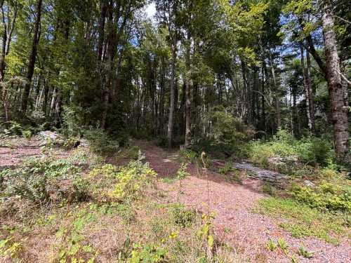 Venta Parcela 183 en Condominio Nevados de Puc�n