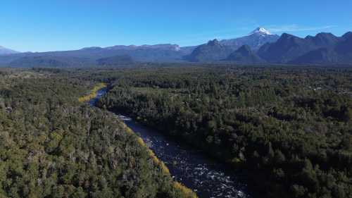 Venta Campo 14,5 Hect�reas con Orilla de Rio Trancura