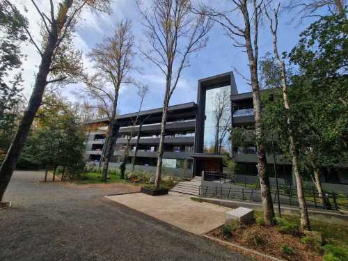 Arriendo Departamento N°111 en Condominio Pucón Andino Limited, Torre Los Boldos
